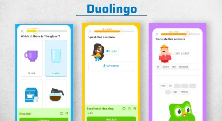 online learner application 