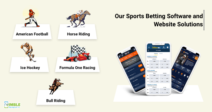 Sports Betting Website Development cost