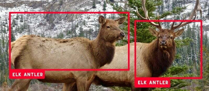 7 Real Life Use Cases of Object Detection : Detailed Insight