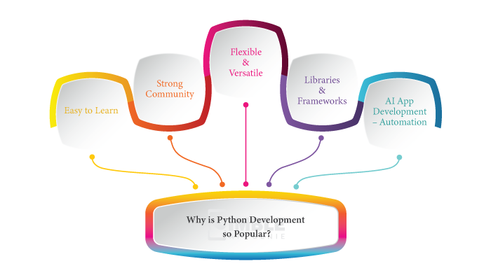 Why is Python Development so Popular?