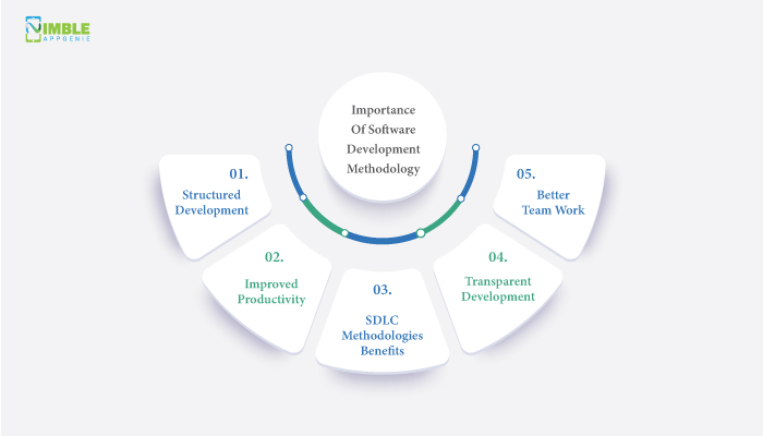 Importance of Software Development Methodology