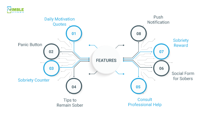 Essential Features of Sobriety Counter App