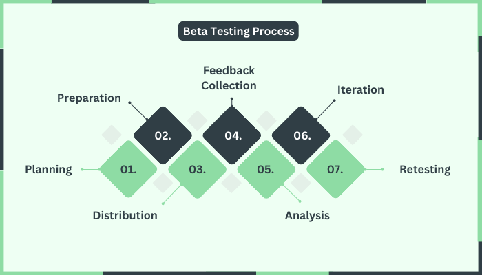 Beta Testing Process