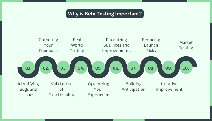 Why is Beta Testing Important