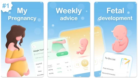 My Pregnancy App