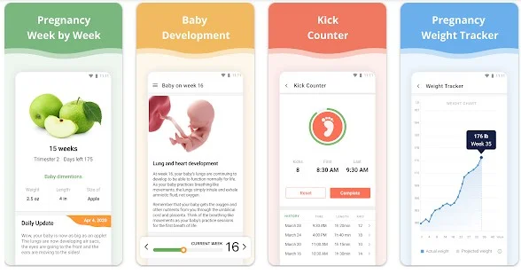 Pregnancy App