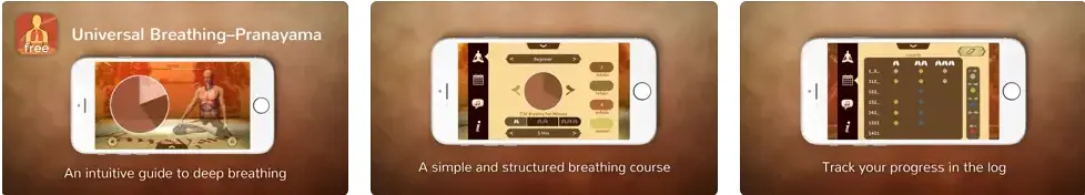 Universal Breathing- Pranayama Lite