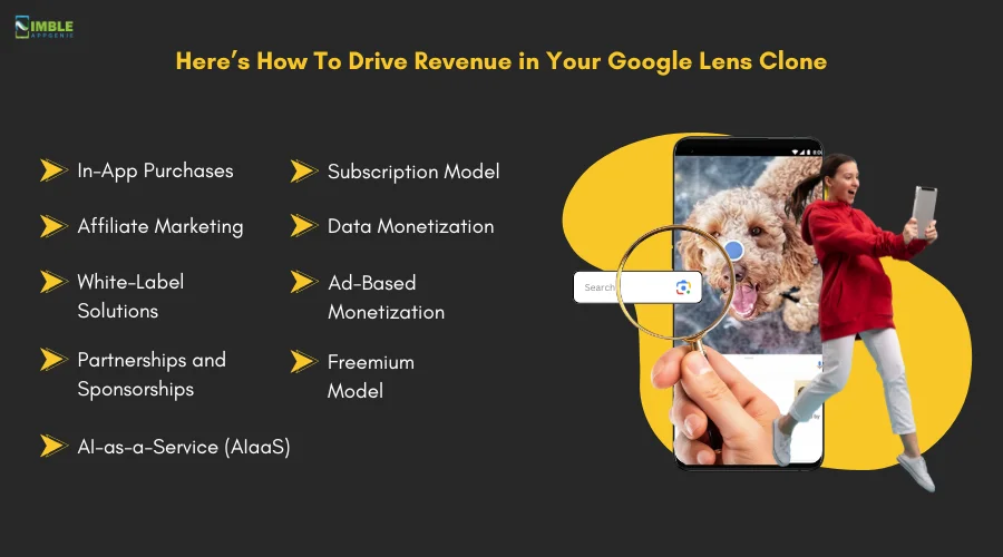 Here’s How To Drive Revenue in Your Google Lens Clone