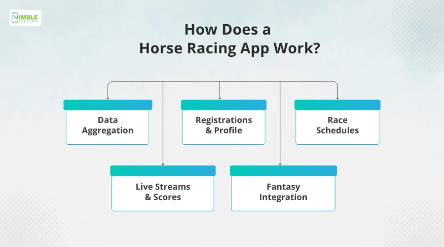 How Does a Horse Racing App Work