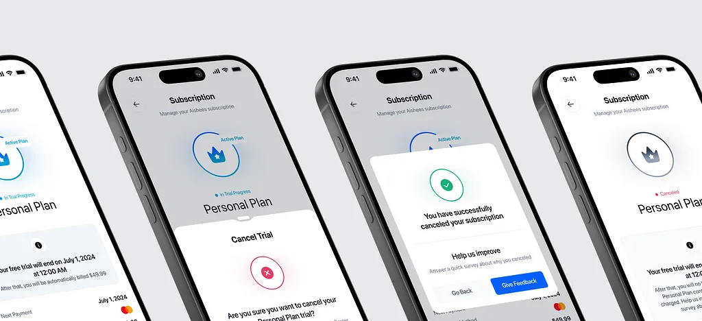 Subscription Plan