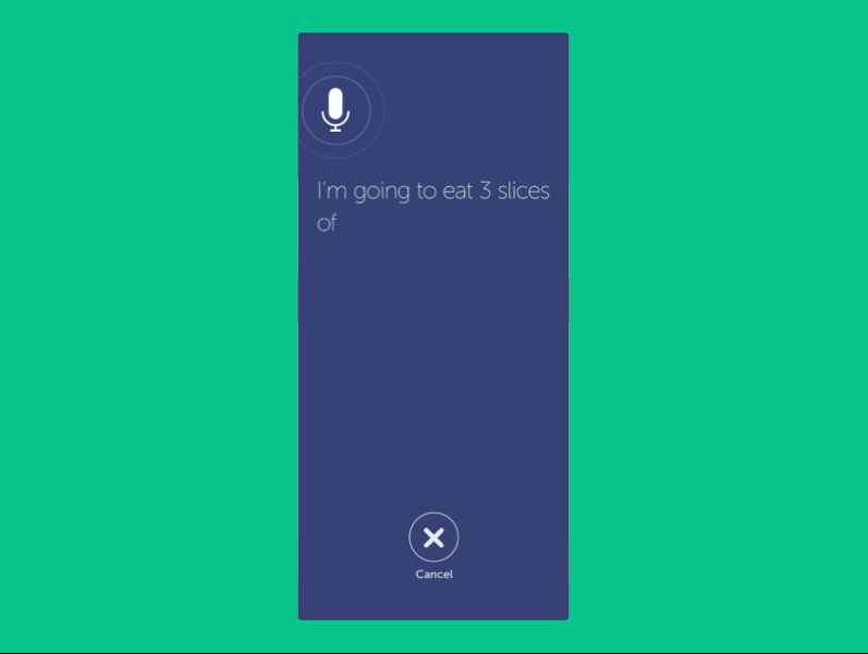 Voice Assistance