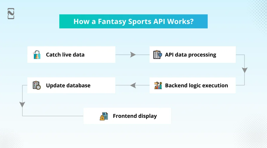 How a Fantasy Sports API Works