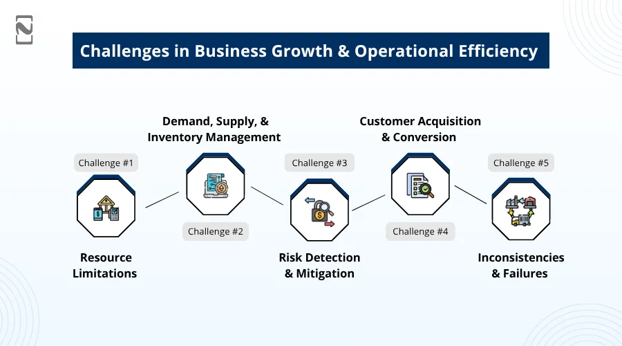 Challenges in Business Growth & Operational Efficiency