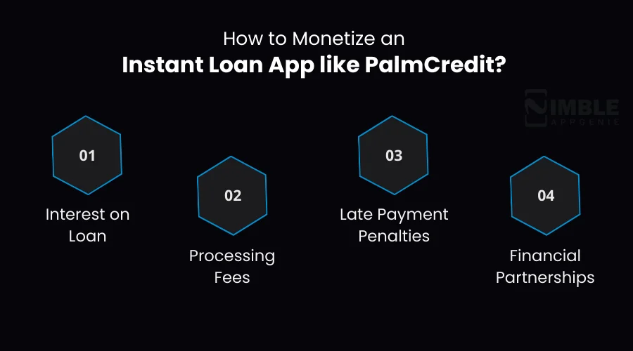 How to Monetize an Instant Loan App Like PalmCredit