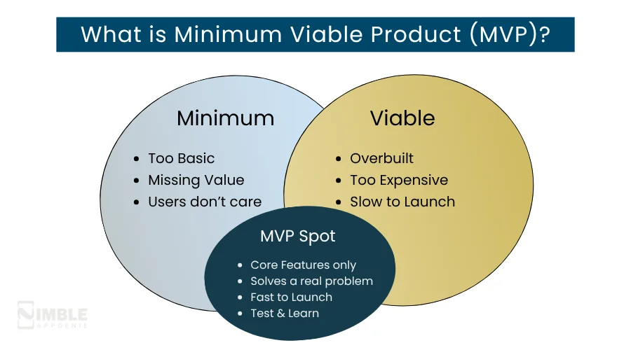 What is Minimum Viable Product