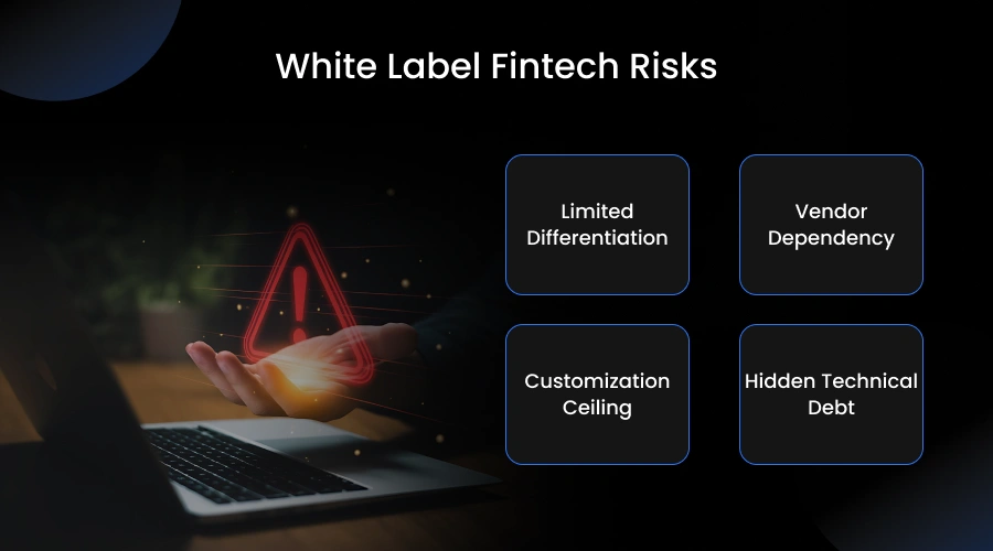 White Label Fintech Risks