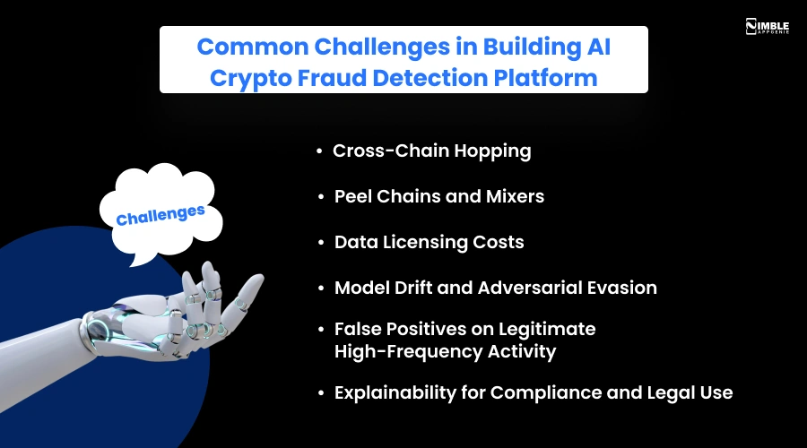 Common Challenges in Building AI Crypto Fraud Detection Platform
