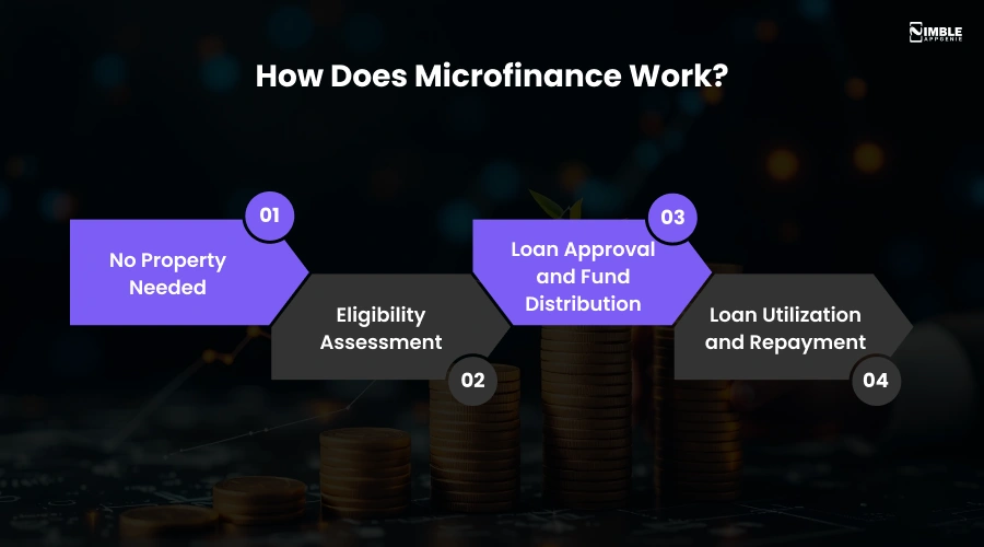 How Does Microfinance Work