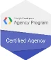 Google Certificate