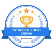 top web development company