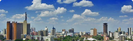 Fintech Software Development in Kenya