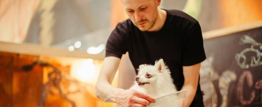 Grooming app development banner image