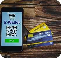 maxpay overview