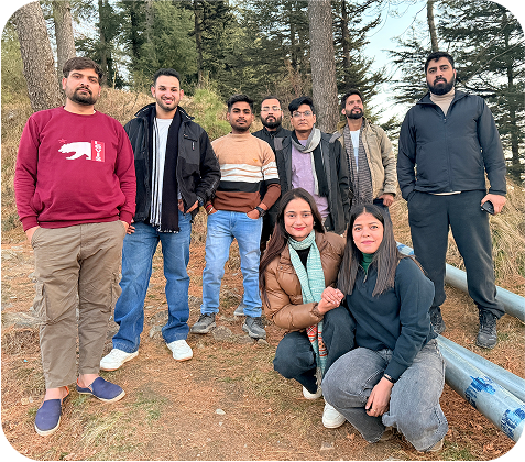 nimble team