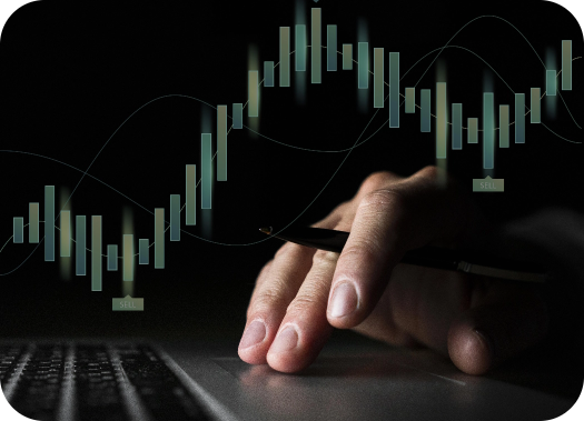 satborsa solution bottom image
