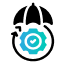 Custom Insurance Solutions Development