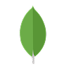 Mongodb