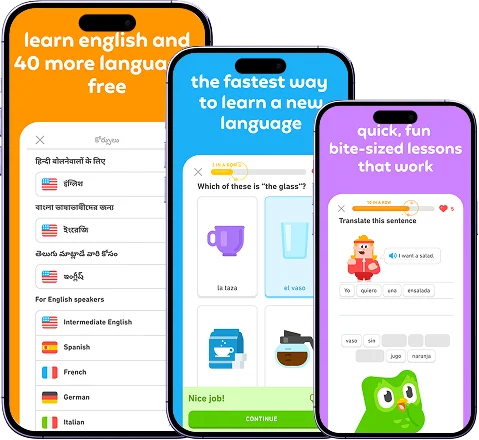 Duolingo- Like App