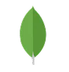Mongodb